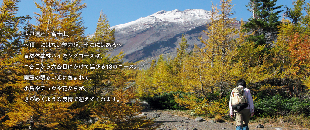 top_imageb01_2.jpg