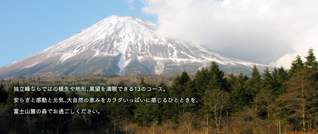 top_imageb03.jpg