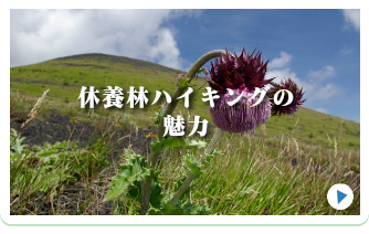 あなたも参加しませんか？