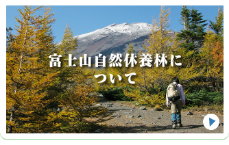 あなたも参加しませんか？